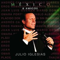 Júrame - Julio Iglesias , Juan Luis Guerra 4.40 | Toogoosh