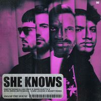 She Knows (with Akon) - Akon , David Guetta , Dimitri Vegas & Like Mike , Afro Bros | Toogoosh
