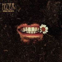 Damage Gets Done (feat. Brandi Carlile) - Hozier , Brandi Carlile | Toogoosh