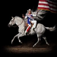 آهنگ TYRANT از Beyoncé , Dolly Parton | توگوش Toogoosh