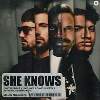 She Knows - Dimitri Vegas & Like Mike , Akon , David Guetta , Afro Bros | Toogoosh