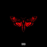 No Worries - Detail , Lil Wayne | Toogoosh