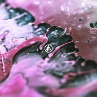 From Zero (Intro) - Linkin Park | Toogoosh