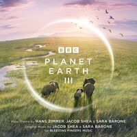Northern Bald Ibis - Hans Zimmer , Sara Barone , Jacob Shea | Toogoosh