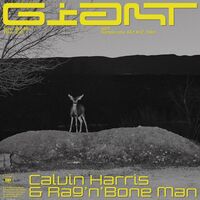Giant (with Rag'n'Bone Man) - Calvin Harris , Rag'n'Bone Man | Toogoosh