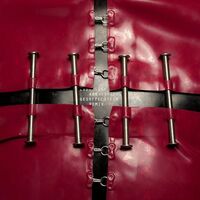 آهنگ Abracadabra - Gesaffelstein Remix از Lady Gaga , Gesaffelstein | توگوش Toogoosh