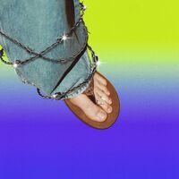 آهنگ ALAMBRE PúA از Bad Bunny | توگوش Toogoosh