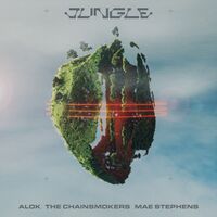 Jungle - Alok , The Chainsmokers , Mae Stephens | Toogoosh