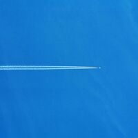 Airplane Tickets - Pharrell Williams , Rauw Alejandro , Swae Lee | Toogoosh