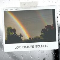 Lofi Birds - Lofi Radiance , Relaxing Music Therapy , Nature Sounds | Toogoosh
