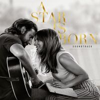Alibi - Bradley Cooper | Toogoosh