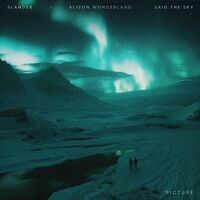 Picture - SLANDER , Said the Sky , Alison Wonderland | Toogoosh