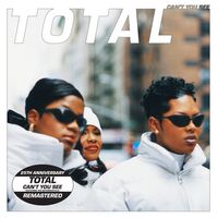 Can't You See - Bad Boy Remix Extended - Keith Murray , Diddy , Total | Toogoosh