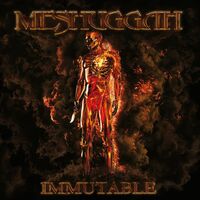 God He Sees In Mirrors - Meshuggah | Toogoosh