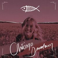 Chicago Downtown - Ömer Balık | Toogoosh