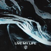 Live My Life - Nicky Romero , Oaks , DubVision | Toogoosh