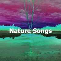 Heavy Summer Rain - Nature Sounds | Toogoosh