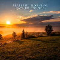 Stroll by the Stream - Nature Sounds | Toogoosh