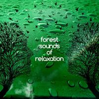 A Walk in the Country - Nature Sounds | Toogoosh