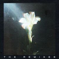 Light That Leads Me - YouNotUs Extended Remix - Bebe Rexha , Netsky | Toogoosh