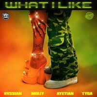 What I Like (with Moliy, Ayetian, & Tyga) - Ayetian , Tyga , Moliy , Rvssian | Toogoosh