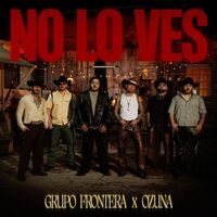 آهنگ no lo ves از Ozuna , Grupo Frontera | توگوش Toogoosh