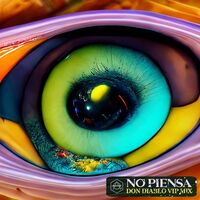 No Piensa - Don Diablo VIP Mix - Boaz van de Beatz , Don Diablo , PnB Rock | Toogoosh