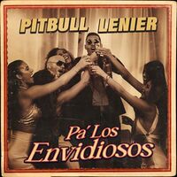 آهنگ Pa' Los Envidiosos از Pitbull , Lenier | توگوش Toogoosh