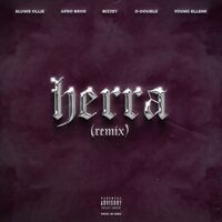 Herra - Remix - D-Double , Sluwe Ollie , Afro Bros , Bizzey ...  | Toogoosh