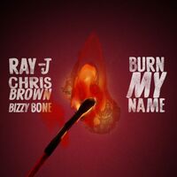 Burn My Name - Ray J , Chris Brown , Bizzy Bone | Toogoosh