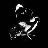 Diana (Remix) - Pop Smoke , Calboy , King Combs | Toogoosh