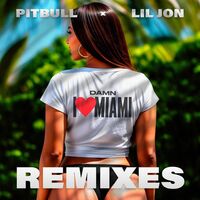 آهنگ Damn I Love Miami - DJ Laz Remix از Pitbull , Dj Laz , DJ Julian , Danny D ...  | توگوش Toogoosh