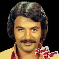 Haram Oldu - Ferdi Tayfur | Toogoosh