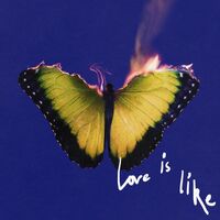 Love Is Like (feat. Lil Wayne) - Maroon 5 , Lil Wayne | Toogoosh