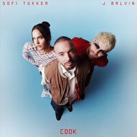 آهنگ COOK از J Balvin , Sofi Tukker | توگوش Toogoosh