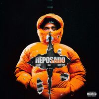 آهنگ Reposado Remix از J Balvin , Benny Jamz , Gilli | توگوش Toogoosh