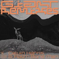 Giant (with Rag'n'Bone Man) - Robin Schulz Remix - Calvin Harris , Rag'n'Bone Man , Robin Schulz | Toogoosh