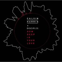آهنگ How Deep Is Your Love از Calvin Harris , Bee Gees | توگوش Toogoosh