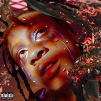 The Jungle Book - Lil Wop , Trippie Redd | Toogoosh