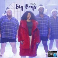 BIG BOY - SZA | Toogoosh