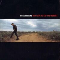 Do I Have To Say The Words - Bryan Adams | Toogoosh