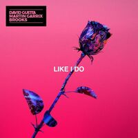 Like I Do - Martin Garrix | Toogoosh