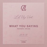 What You Saying - Lil Uzi Vert | Toogoosh