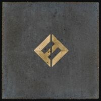 Run - Foo Fighters | Toogoosh