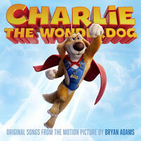 Anything Is Possible - Bryan Adams | Toogoosh