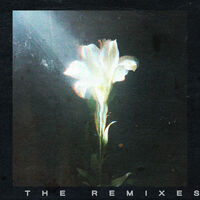 Light That Leads Me (feat. Bebe Rexha) (Subsonic Extended Remix) - Younotus , Subsonic , Bebe Rexha , Netsky | Toogoosh