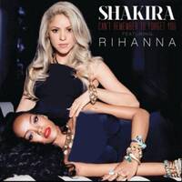 آهنگ Can't Remember To Forget You از Shakira , Rihanna | توگوش Toogoosh