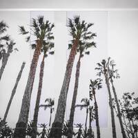 Too Fast (Pull Over) (with Anderson .Paak & Latto) - Mulatto , Anderson .Paak , Jay Rock | Toogoosh