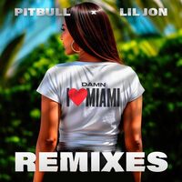 Damn I Love Miami - DJ Laz Remix - Pitbull , Dj Laz , DJ Julian , Danny D ...  | Toogoosh