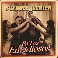 Pa' Los Envidiosos - Pitbull , Lenier | Toogoosh